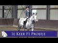 Tessa 9 oktober FNRS proefje 1B * Hart voor Paarden *