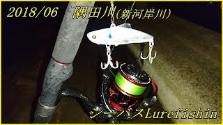 2018/06隅田川(新河岸)seabass釣行 記録更新！