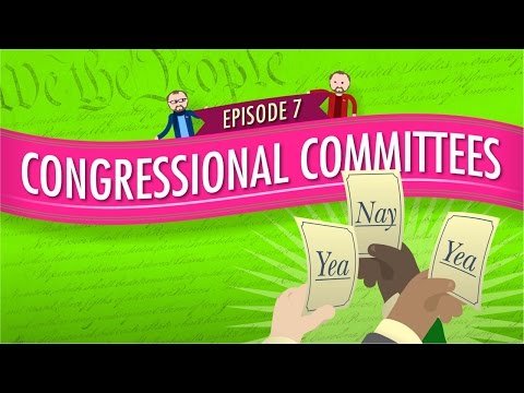 What do congressional committees do?