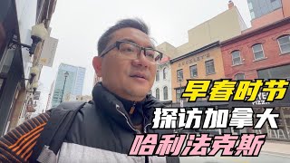 移民热点城市考察，加拿大大西洋四省人口最多的城市哈利法克斯(Halifax)，气候竟然和温哥华类似，第一天市中心吃到了意料之外的美食，这个城市适合华人吗？一起去寻找答案