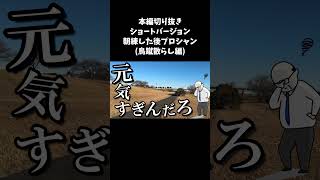 【切り抜き】ご機嫌で朝練した後にまさかのシャンプーに絶望する柴犬_鳥蹴散らし編 #柴犬