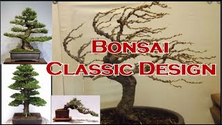 What are the Classic Bonsai Design and Styles