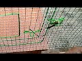 low cost cage வீட்டில் கூண்டு செய்வது எப்படி every one easy to make cage