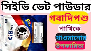 CIB vet powder for cattle or poultry সিআইভি পাউডার গবাদিপশু ও পোল্ট্রিকে খাওয়ানোর উপকারিতা🐏🐑🐂🐐🐄🐇🐔🐓🐤