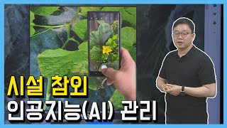 인공지능(AI)기술을 활용한 참외병해충 판별기술 및 로봇적용기술