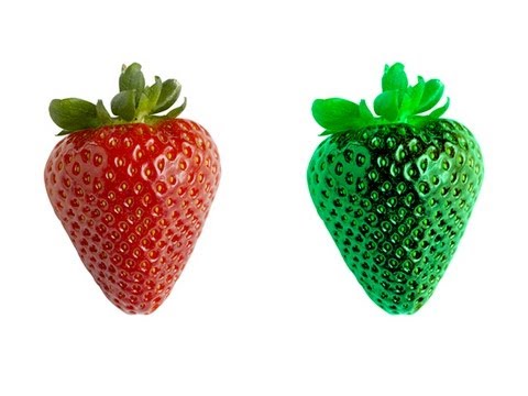 Is Your Red The Same as My Red? Is Your Red The Same as My Red?