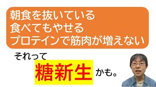 糖新生についてまとめてみました