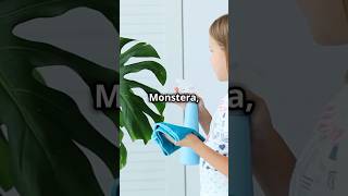 Best Tropical plants for your home! #shorts #viralvideo #india #news #yt #new #ytshorts #trend