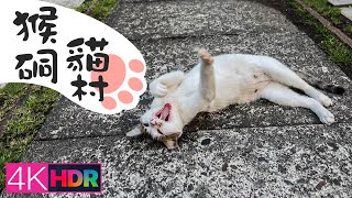 Houtong Cat Village 猴硐貓村山城｜4K HDR｜@Rambalac You will like this place