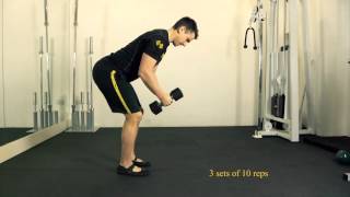 Bent Over Dumbbell Reverse Fly