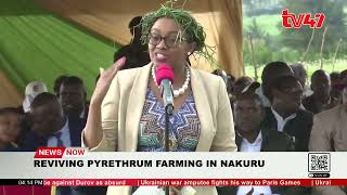 Pyrethrum farmers in Kuresoi Nakuru receive solar powered dryers