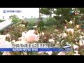 장미정원 거닐며 힐링하세요 ytn