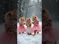 ثلاث قطط صغيرة بلباس جميلة ترقص على الثلج funny kitten cute اكسبلور catlover cutecat انمي