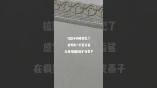 #精神状态良好 #身体健康 #害羞 #内敛 #社恐