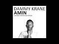 Dammy Krane - Amin (Jerome Sydenham Remix) [Ibadan Records, IRC130]