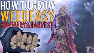 HOW TO GROW WEED EASILY (PHOTOPERIODS) FULL GROW SUMMARY & HARVEST RESULTS | 680W 5X5