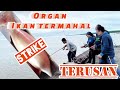 Lokasi menarik Memancing Ikan Terusan di Kuala Kampung Rejang Belawai / Umpan Udang Hidup Mantap