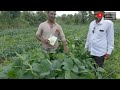 सोयाबीन भुईमूग व ऊस तीन पीक एकत्र sandipkarande karyonorganic farming vloogs 9049903131