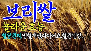 ☞#건강한TV.보리쌀의 놀라운 효능【빈혈예방,혈관건강,변비개선에도 좋은 보리쌀~!】