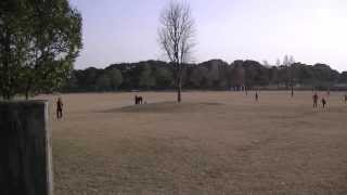 佐賀県立森林公園　園内の風景　（佐賀県佐賀市）　2014/01/02 #11