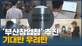 '부산창업청' 추진 첫발, 기대와 우려