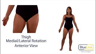 Thigh Medial Lateral Rotation