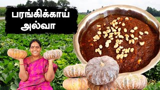 வீட்டு முறையில் பரங்கிக்காய் ஹல்வா | கல்யாண இனிப்பு | Parangikai Sweet |Pumpkin Halwa Foodie Tamizha