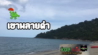 #ทริปเขาพลายดำ เที่ยวทะเลใต้  | kob tube |