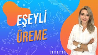 (34.DERS) EŞEYLİ ÜREME | TYT 10.SINIF l Seda Hoca Biyoloji 🤗