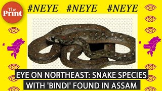 New snake species found in Assam after a century \u0026 Nagaland choir lights up I-Day celebrations