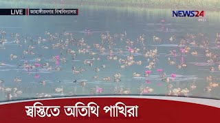 LIVE || শিক্ষার্থীদের আনাগোনা নেই জাহাঙ্গীরনগর বিশ্ববিদ্যালয়ে, স্বস্তিতে অতিথি পাখিরা 26Nov.20