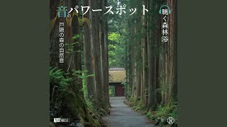 自然音 - 戸隠 夕刻の鏡池 - 野鳥やカエルの鳴き声