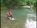 big brown trout serbia river gradac.mpg