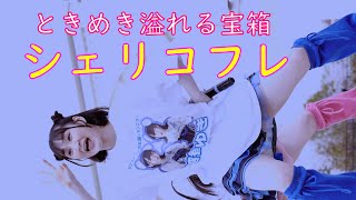 4K/60P アイドル  シェリコフレ①ピットアウトあいどる祭り 2024年4月7日 住之江公園 Japanese female idol group