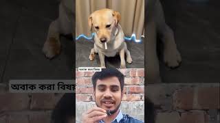 অবাক করা বিষয়।। #comedy #duet #funny #viralvideo