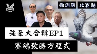 【強豪大合輯EP1】操訓期、比賽期賽鴿致勝方程式 ｜耐翔購