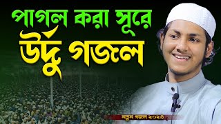 এবার টাঙ্গাইল বাসীর অনুরোধে জনপ্রিয় উর্দু গজল | জুবায়ের আহমাদ তাশরীফ গজল | Jubayer Ahmed Tasrif