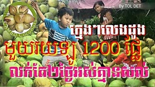 ក្មេងៗលេងដូង 100 ឡូ = 1200ផ្លែ