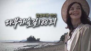 [안산여행] 감성여행 안산 대부해솔길 188리 -1부-