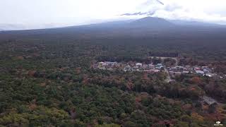 本日は、精進湖周辺の紅葉🍁