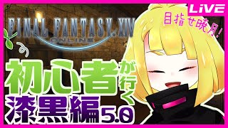 【FF14】漆黒編5.0その１🌱はじめてのFINAL FANTASY XIV【Vtuber/古閑モクラ】#GaiaDC #Ridill