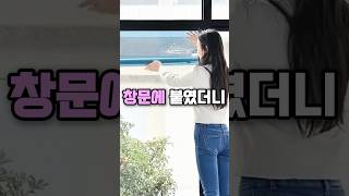 창문에 ‘이것’을 붙였더니 생기는 일 #쿠팡추천템 #사생활보호 #집꾸미기