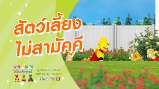 สัตว์เลี้ยงไม่สามัคคี : TataTitiToto ไดโนมหัศจรรย์ (29 พ.ย. 63)