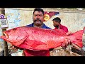 KASIMEDU 🔥 SPEED SELVAM | BIG RED SNAPPER FISH CUTTING VIDEO | IN KASIMEDU | FF CUTTING 🔪