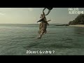 2月の北部遠征［沖縄釣り　ルアー釣り］ 沖縄 ルアー釣り 沖縄釣り fishing イシミーバイ okinawa レンジバイブ