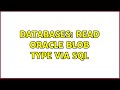 Databases: Read Oracle BLOB type via SQL