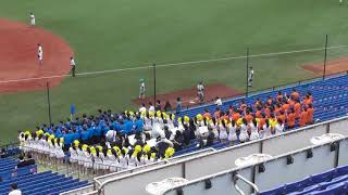 2019夏東東京都大会応援　東亜学園　キューティーハニー~さくらんぼ