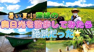 暑い夏！深緑の奥日光を散歩してみたら絶景だった～父と息子の奥日光の深緑満喫旅～後編