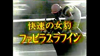 競馬：ファビラスラフイン（ 快速の女豹 ファビラスラフイン）1996 秋華賞･ジャパンカップ2着