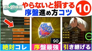 【ティアキン攻略】序盤に絶対にやるべきこと10選【ゼルダの伝説 ティアーズ オブ ザ キングダム】